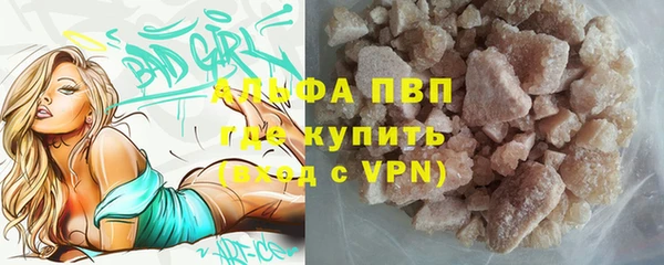 PSILOCYBIN Белокуриха